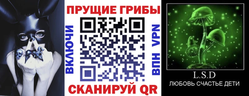 магазин продажи наркотиков  omg вход  Псилоцибиновые грибы прущие грибы  Змеиногорск 